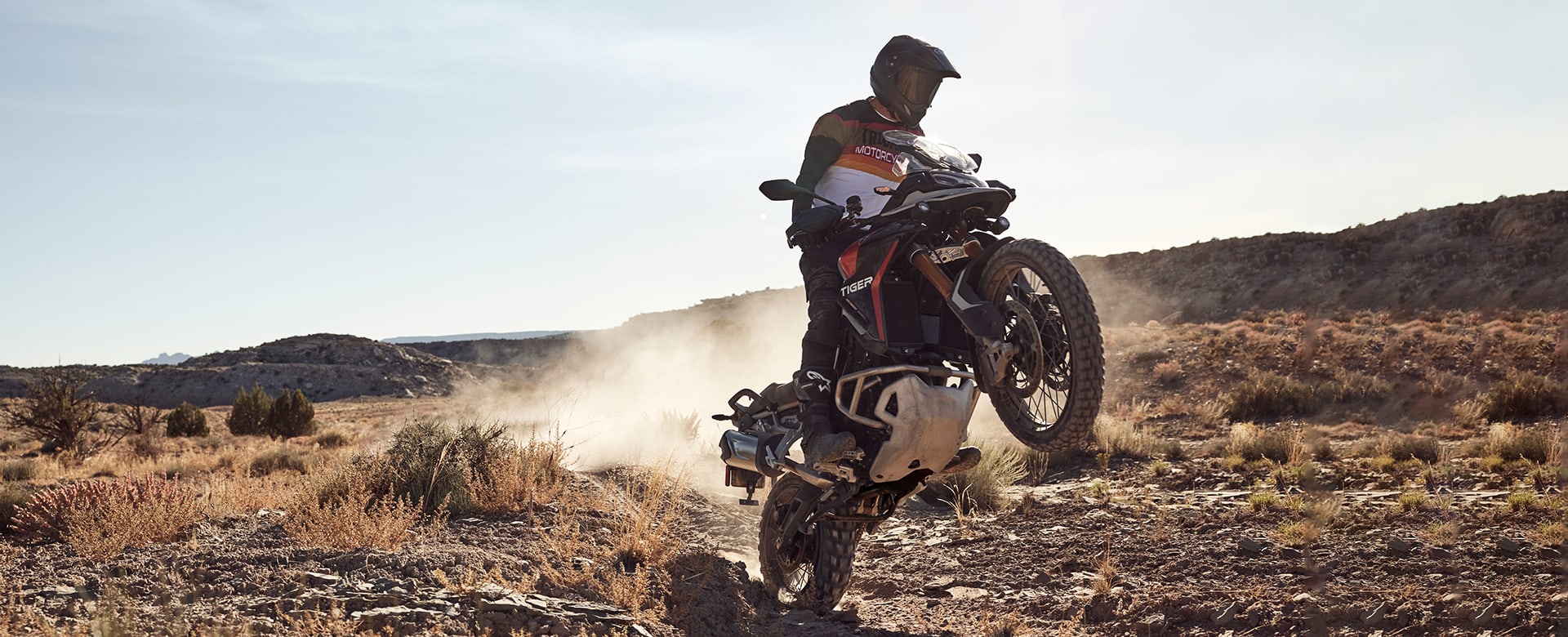 Triumph Tiger 900 Rally